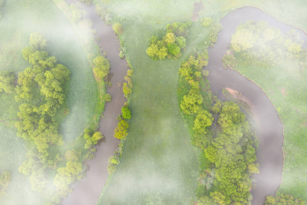 Vista aérea del meandro del río en la exuberante vegetación verde del delta Vista superior del valle de un río serpenteante entre campos verdes y bosques. Concepto de fondo romántico - Foto, Imagen