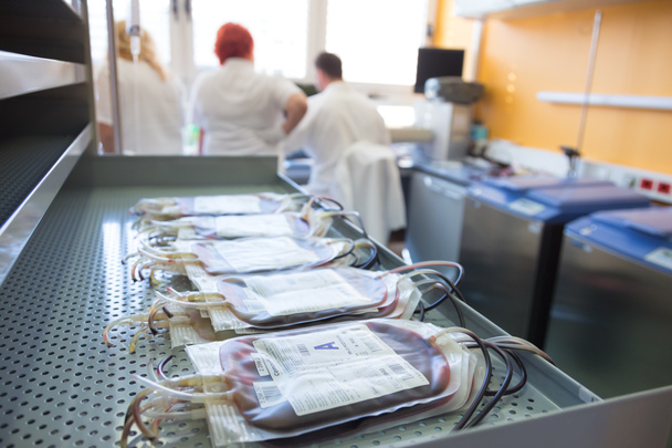 Blood bags in a hematological laboratory. - Photo, Image