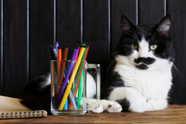 Przezroczysty kubek z markerami i notatnik z ekologicznego papieru są strzeżone przez słodkiego kota. Koncepcja twórczych działań i nauczanie dzieci rysowania. Światło dzienne - Zdjęcie, obraz