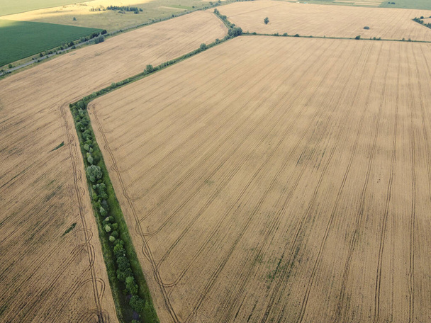 Un antiguo canal de riego cubierto de árboles entre un campo de trigo, vista aérea. Canal de riego seco en el campo, paisaje. - Foto, imagen