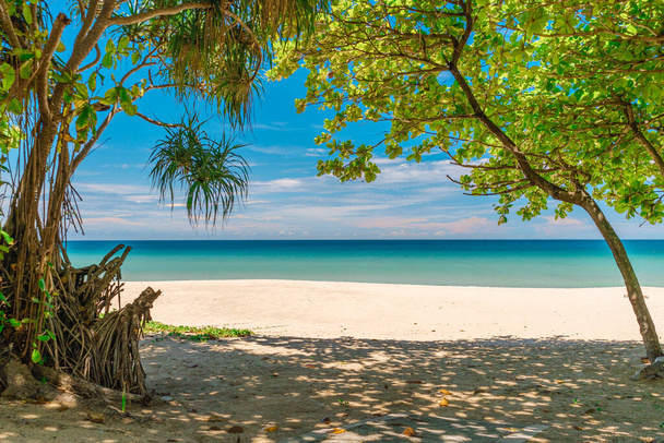 Tropischer Strand mit weißem Sand und türkisfarbenem Meer. Foto eingerahmt von Palmen- und Pandablättern. Sommerurlaub und Naturerlebniskonzept. - Foto, Bild