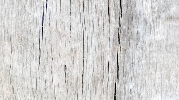 Παλιά υφή ξύλου ρωγμή, γκρι-λευκό τόνο. Χρησιμοποιήστε αυτό για ταπετσαρία ή εικόνα φόντου. Υπάρχει κενό διάστημα για κείμενο. - Φωτογραφία, εικόνα