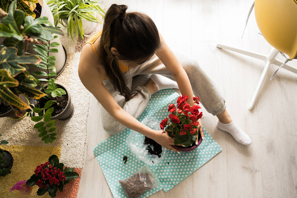 Woman looking at green plants and smiling while spending time at home - Foto, immagini