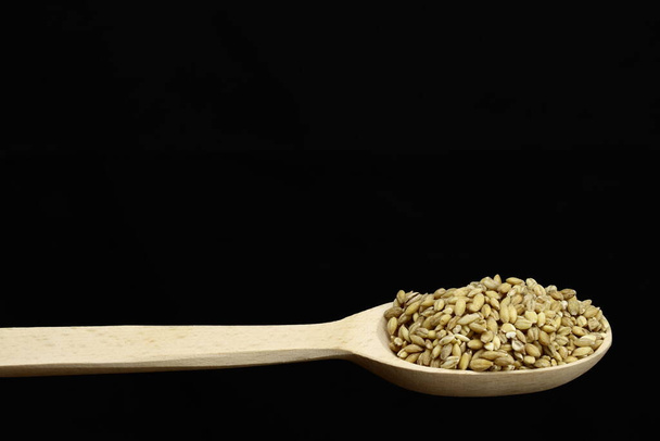 pearl barley in a wooden spoon on black background - Photo, Image