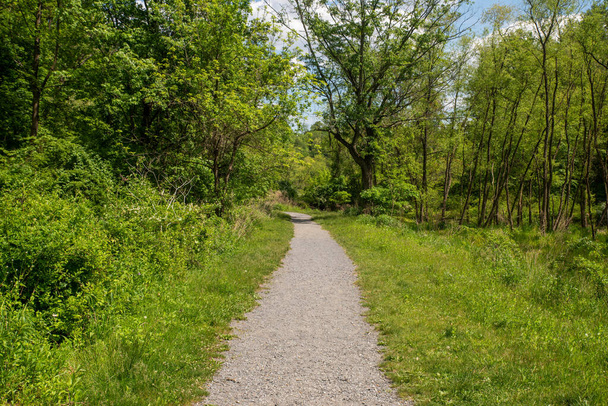 Caminho de cascalho centrado na grama verde leva em madeiras - Foto, Imagem