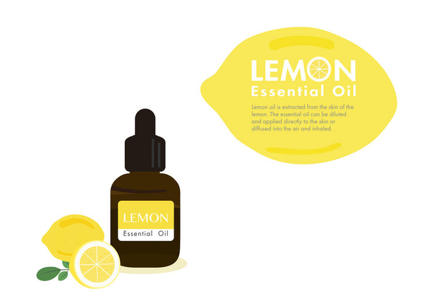 Zitronenkraut für die Extraktion ätherischen Öls im medizinischen Behandlungsvektor ep02 - Vektor, Bild