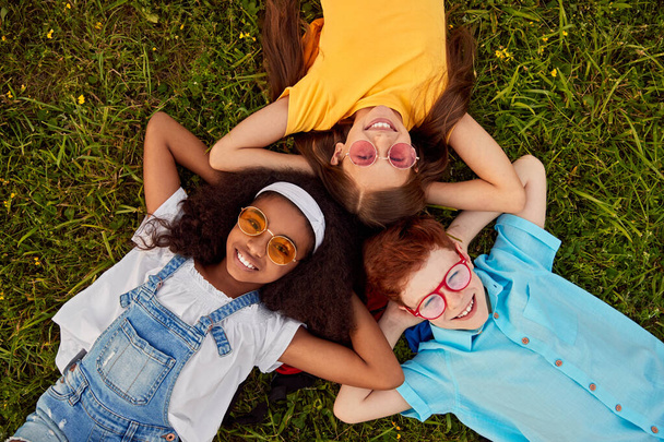 Company of diverse happy friends lying on grass - Photo, Image