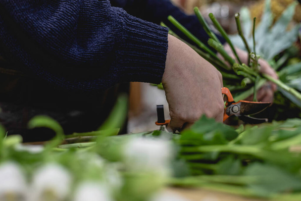 Pohled na mladou ženu pracující jako květinářka v malém obchodě a sekání květin sprigs s nůžky, podnikatelka podnikatelka koncept. - Fotografie, Obrázek