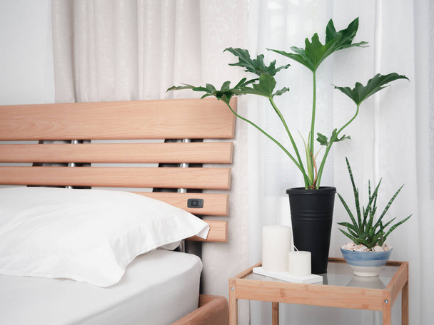 柔らかいパステルカーテンの背景を持つ白いベッドルームのインテリアに設定されたモダンな白いベッドとPhilodendronのselloum - 写真・画像
