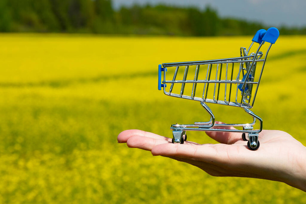 A shopper's trolley, a shopping basket, stands in the palm of the hand against the backdrop of a bright blooming rapeseed field. Copy space. - Foto, Imagen
