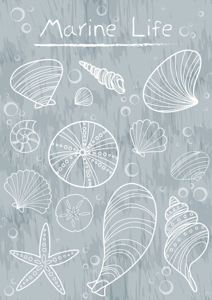 Sea shell and marine life doodle vector for decoration on ocean and summer holiday concept. - Vector, Image