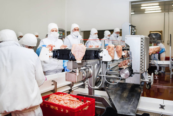 Yiyecek fabrikasındaki üretim hattı stok fotografı. Meet Endüstrisindeki işçiler et nakliyesi için et organize ediyorlar.. - Fotoğraf, Görsel