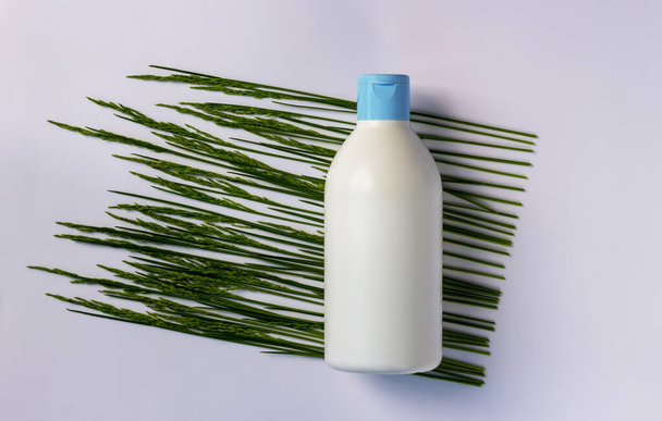 Isolated plastic cosmetic bottle without label and green spikelets on white background. Beauty and skin care concept. Mockup for product. Spa background with copy space. - Zdjęcie, obraz