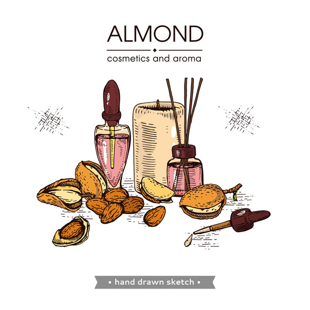 Colección de almendras con cosméticos y aceites esenciales. Dibujado a mano, ilustración vectorial - Vector, imagen