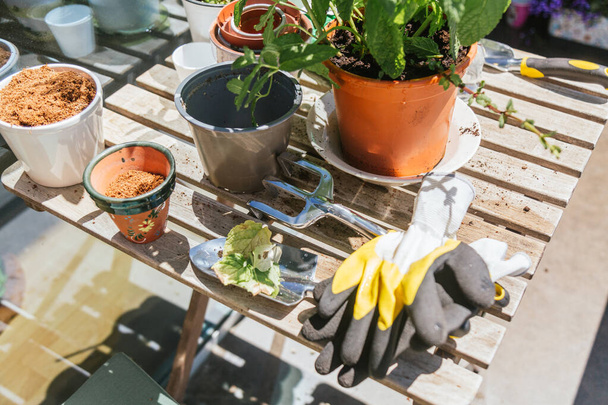 鉢や園芸道具付きの庭のテーブル - 写真・画像
