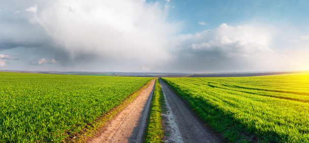 χωματόδρομος σε ένα μεγάλο χωράφι με πράσινο σιτάρι. Όμορφα σύννεφα πάνω από τη γεωργική γη - Φωτογραφία, εικόνα