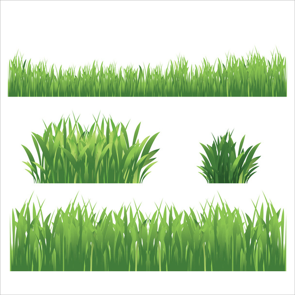Groen gras - Vector, afbeelding