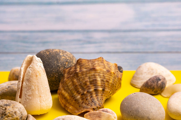 stones and shells on a blue wooden background and a yellow background.Marine theme. - Фото, зображення