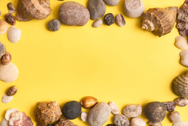 rocks and shells on a yellow background .Marine theme. - Foto, afbeelding