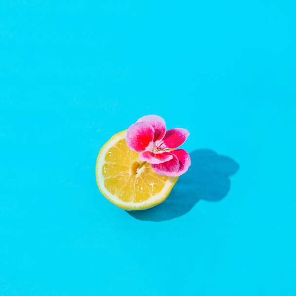 Yellow lemon with pink flowers. On a blue background. - Photo, Image