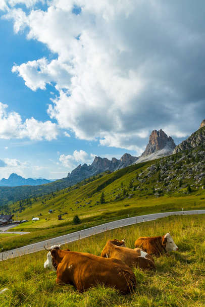 Paisaje cerca de Passo Giau en Dolomites, Italia - Foto, imagen