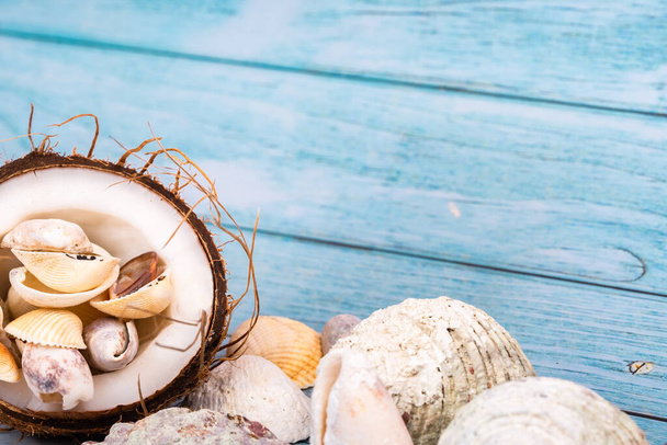 coconuts and seashells on a blue wooden background .Marine theme. - Фото, изображение