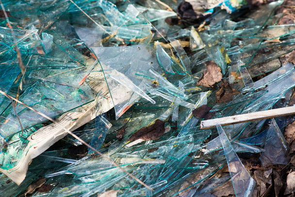 Broken blue glass in a forest dump, garbage - Fotoğraf, Görsel