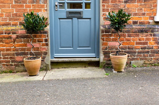 Primer plano de una puerta de madera azul en una casa de pueblo con 2 plantas en maceta a cada lado. Inicio, comprador por primera vez, nuevo concepto de casa - Foto, Imagen