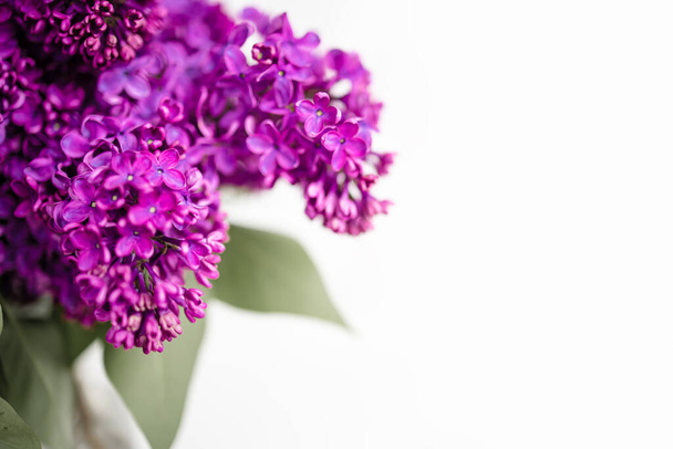 Marco de flores púrpuras - Ramas de primavera lila con espacio para el texto - Foto, Imagen