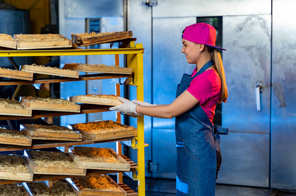 Young bakery girl working at factory. Big basket of baguette on factory. - Photo, Image