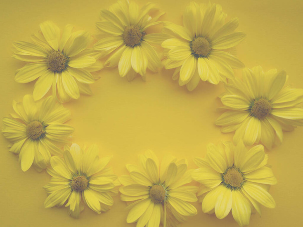 Kukat koostumus krysanteemi kukkia keltaisella pohjalla. Vuoden väri 2021 valaiseva, kevät, kesämalli projekteillesi.  - Valokuva, kuva