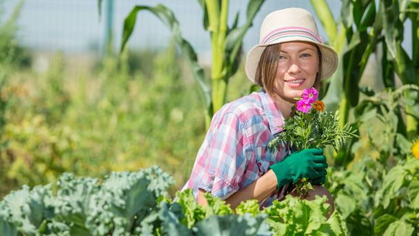 person working in garden. Young woman in summer field garden planting watering care about rows, plants - Φωτογραφία, εικόνα