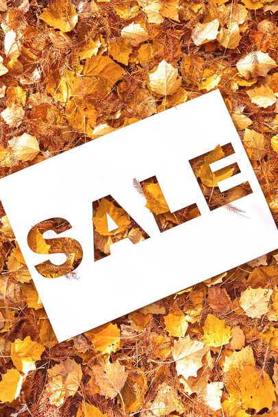 Sale text cut out on white paper card lying on background of autumn fall leaves - Photo, Image