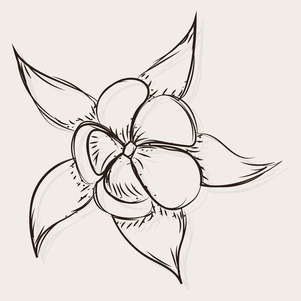 Isolated sketch of a flower - Vetor, Imagem