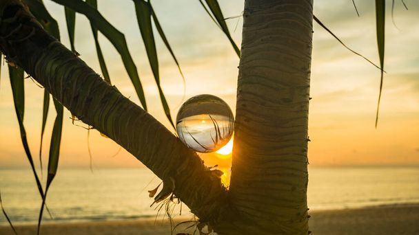 coucher de soleil vue du lever du soleil à l'intérieur boule de cristal placée sur les fourches d'une branche - Photo, image