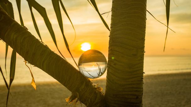 枝の上に置かれたクリスタルボールの中の日の出の景色 - 写真・画像