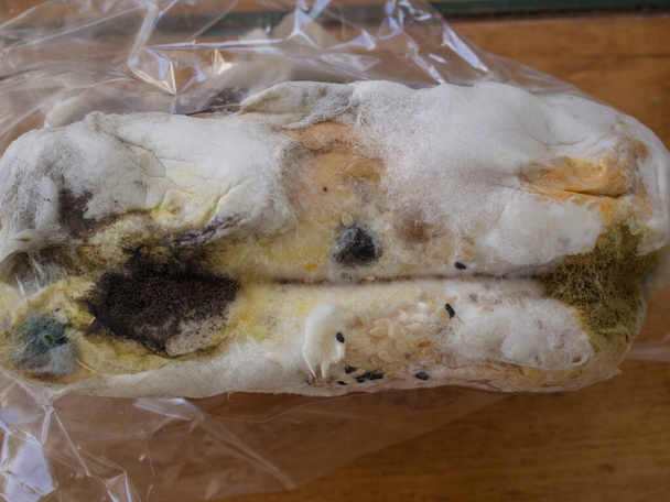 Closeup moldy bun in plastic pack, isolated bread with moldy, fungi texture - Photo, Image