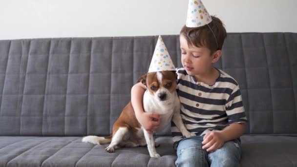 4 bin. Anaokulu çocuğuyla komik bir chihuahua köpeği. Parti şapkalı doğum günü köpeği. - Video, Çekim