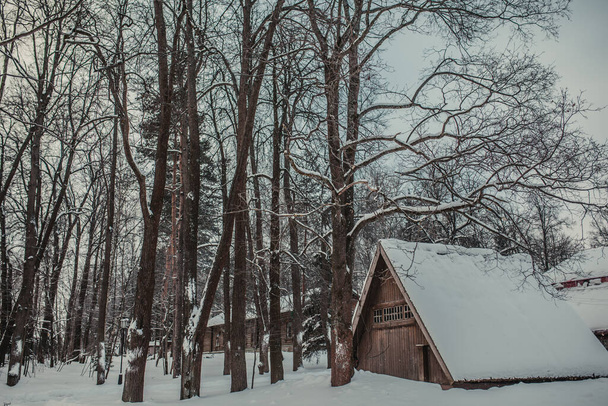 snowy winter landscape view - Fotoğraf, Görsel