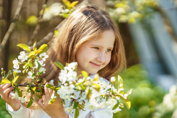 happy child five years sniffing flowers in blooming cherry orchard on sunny day. walk in spring in nature enjoys sun's rays. Cute baby collects fresh cherry tree flowers in spring and explores nature. - Φωτογραφία, εικόνα