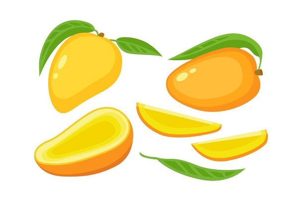 Kawałek mango, cały z liściem i kawałkami osadzonymi na białym tle. Element logo soku lub dżemu. Wektor płaska ilustracja tropikalne owoce. Projekt nadruku, banera, tła, opakowania, rynku - Wektor, obraz