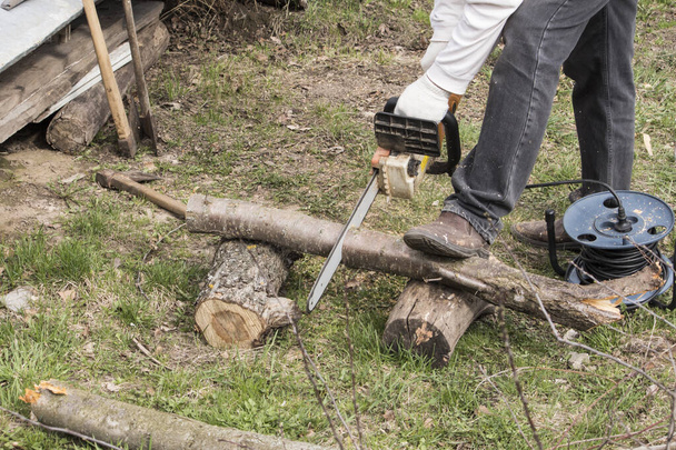 A man with an electric saw saws a tree for firewood in the garden. - Photo, Image