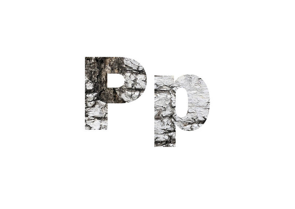 Birch bark surface background image. Shot through the cut-out silhouette of the letter P - Foto, Imagem