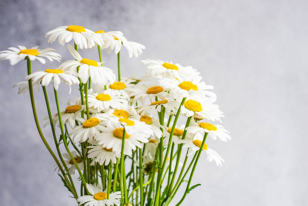 Flores de margarita blanca sobre mesa de hormigón como fondo de verano - Foto, imagen