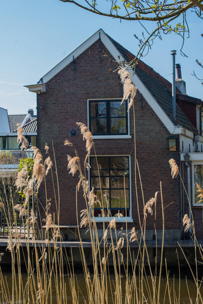 Domy kanałowe i łodzie w Holandii - Zdjęcie, obraz