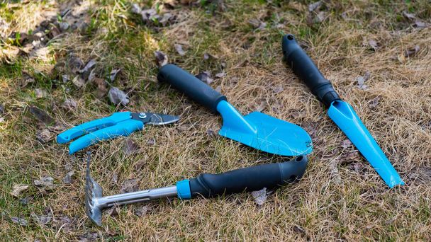 Top view of a pruner rake and a gardeners shovel with blue handles on the grass. A set of tools for working in the garden - Foto, imagen