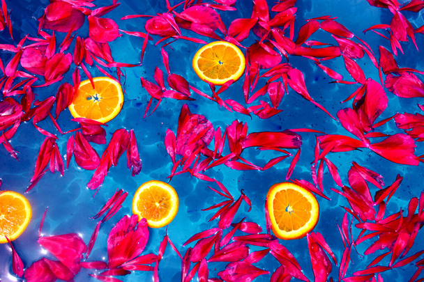 Red petals and orange slices floating on blue water - Фото, зображення