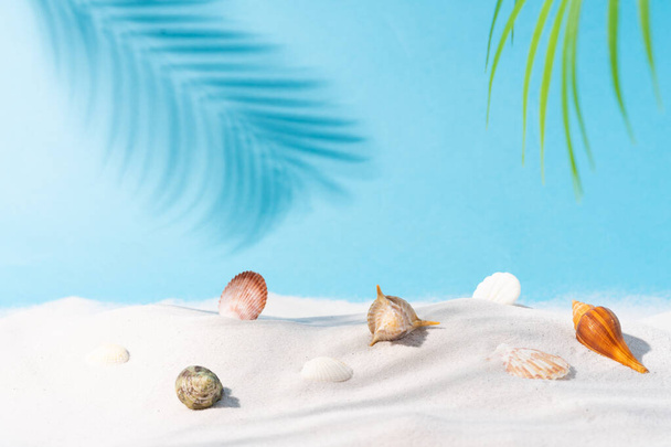Καλοκαίρι φόντο με άμμο κοχύλι και φοίνικα - Φωτογραφία, εικόνα