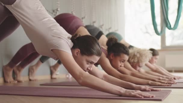 Steadicam von vier jungen Sportlerinnen, die sich in abwärts gerichteter Hundestellung im Yoga-Kurs strecken, die Köpfe heben und ablegen - Filmmaterial, Video