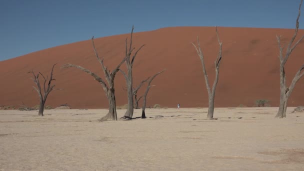 Namíbia. África. Dunas de areia no deserto da Namíbia - Filmagem, Vídeo